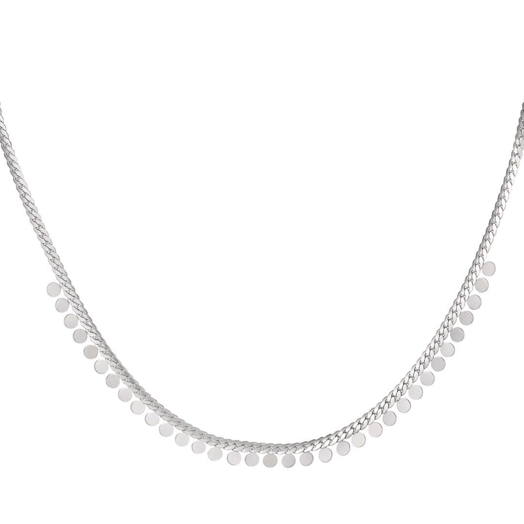 Muntjes ketting - zilver