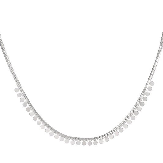 Muntjes ketting - zilver