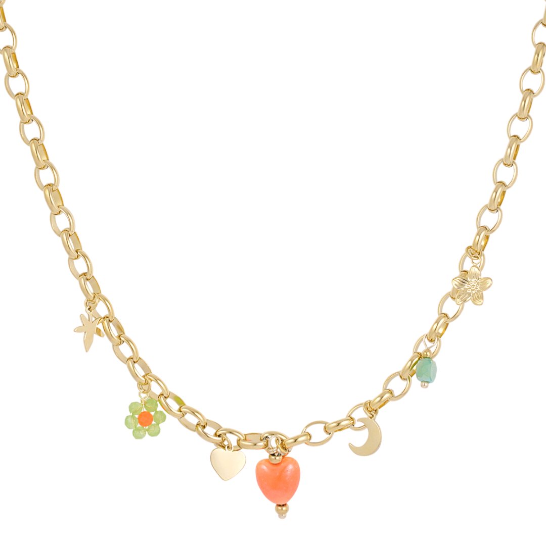 Bedelketting pick me - goud