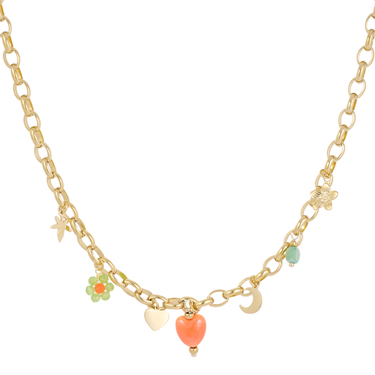 Bedelketting pick me - goud