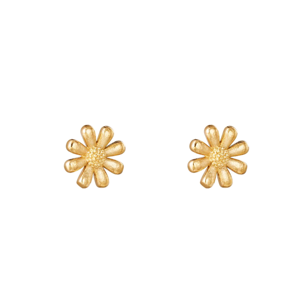 Oorbellen shiny daisy - goud