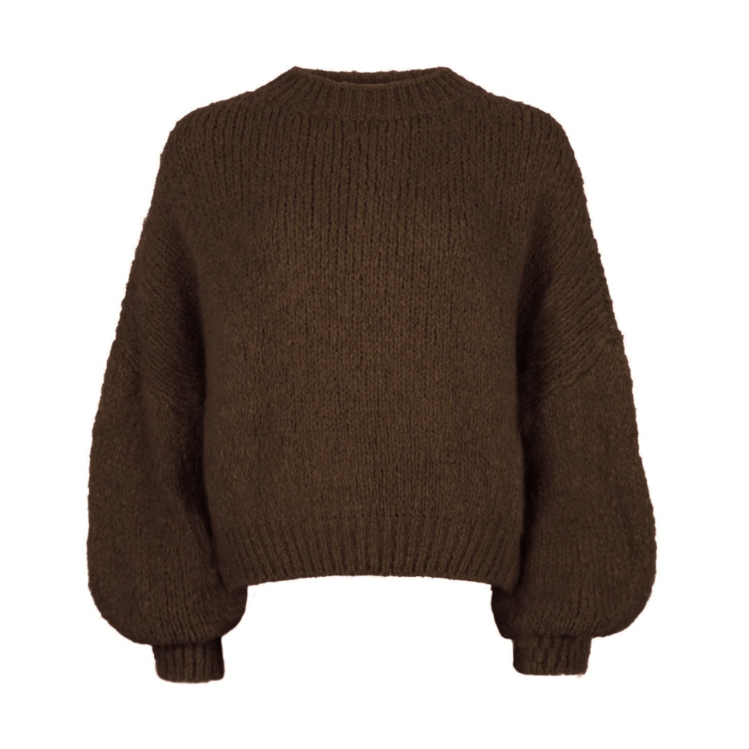 Ambika trui - bruin