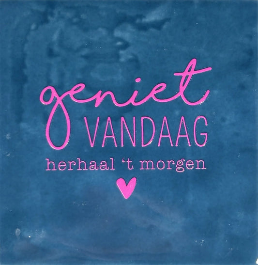 Quote tegeltje 'geniet vandaag herhaal 't morgen'