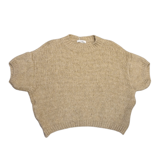 Ambika trui - beige/goud