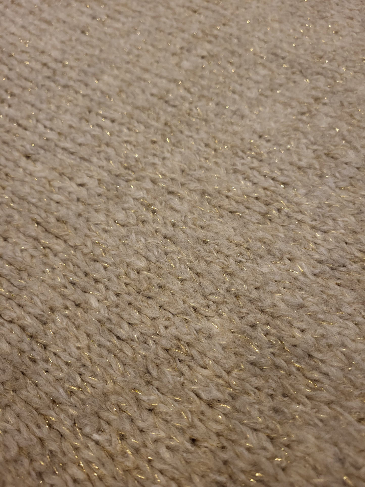 Ambika trui - beige/goud