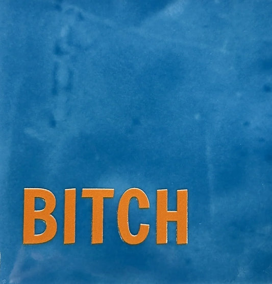 Quote tegeltje 'BITCH'